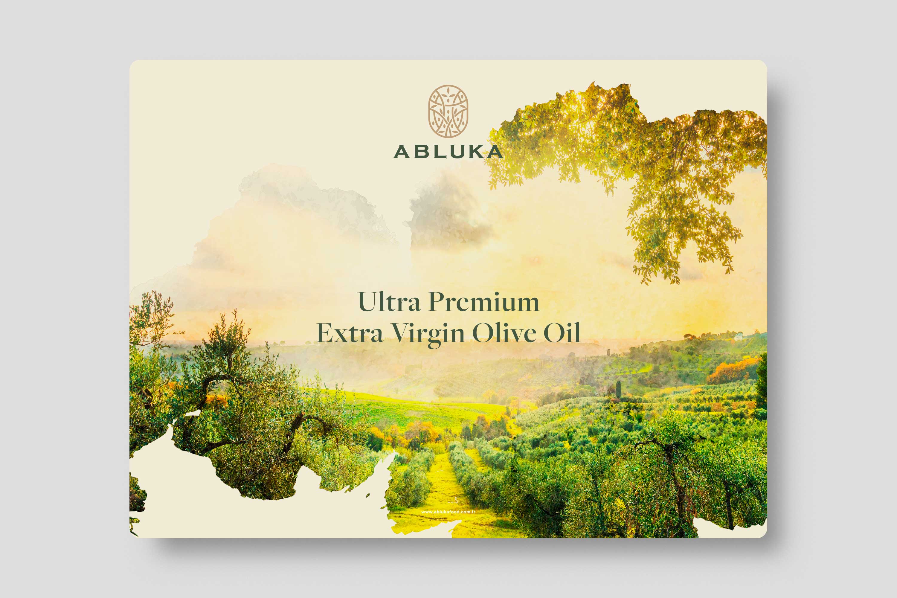 Abluka Online Corporate Brochure