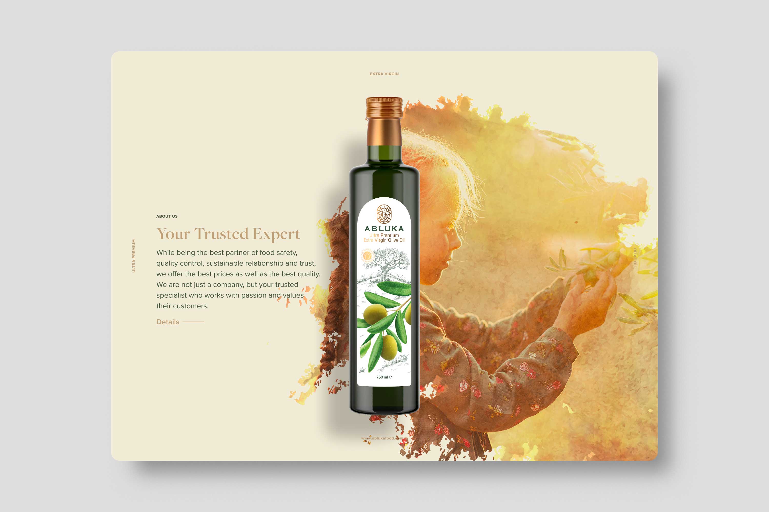 Abluka Online Corporate Brochure