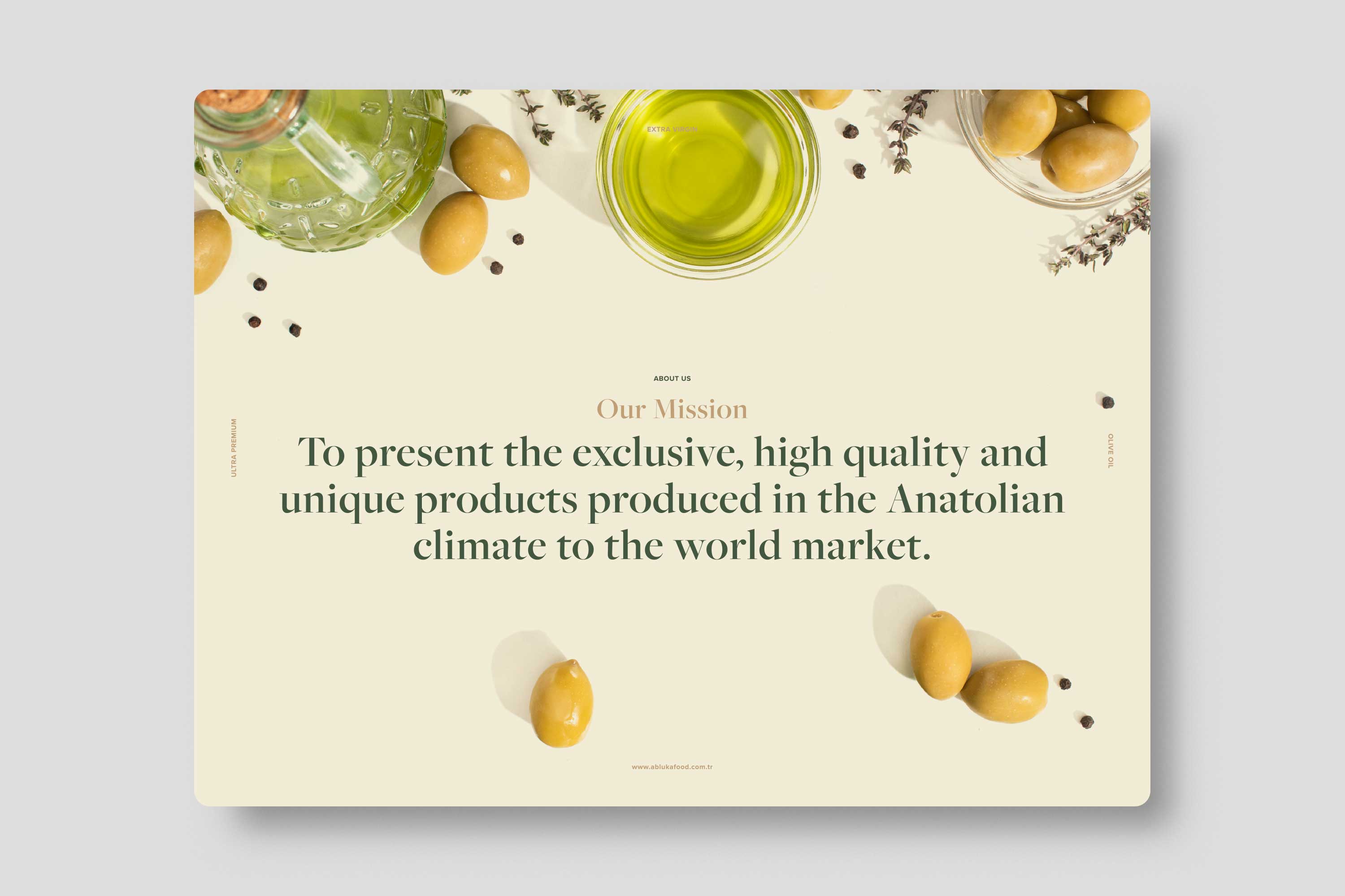 Abluka Online Corporate Brochure