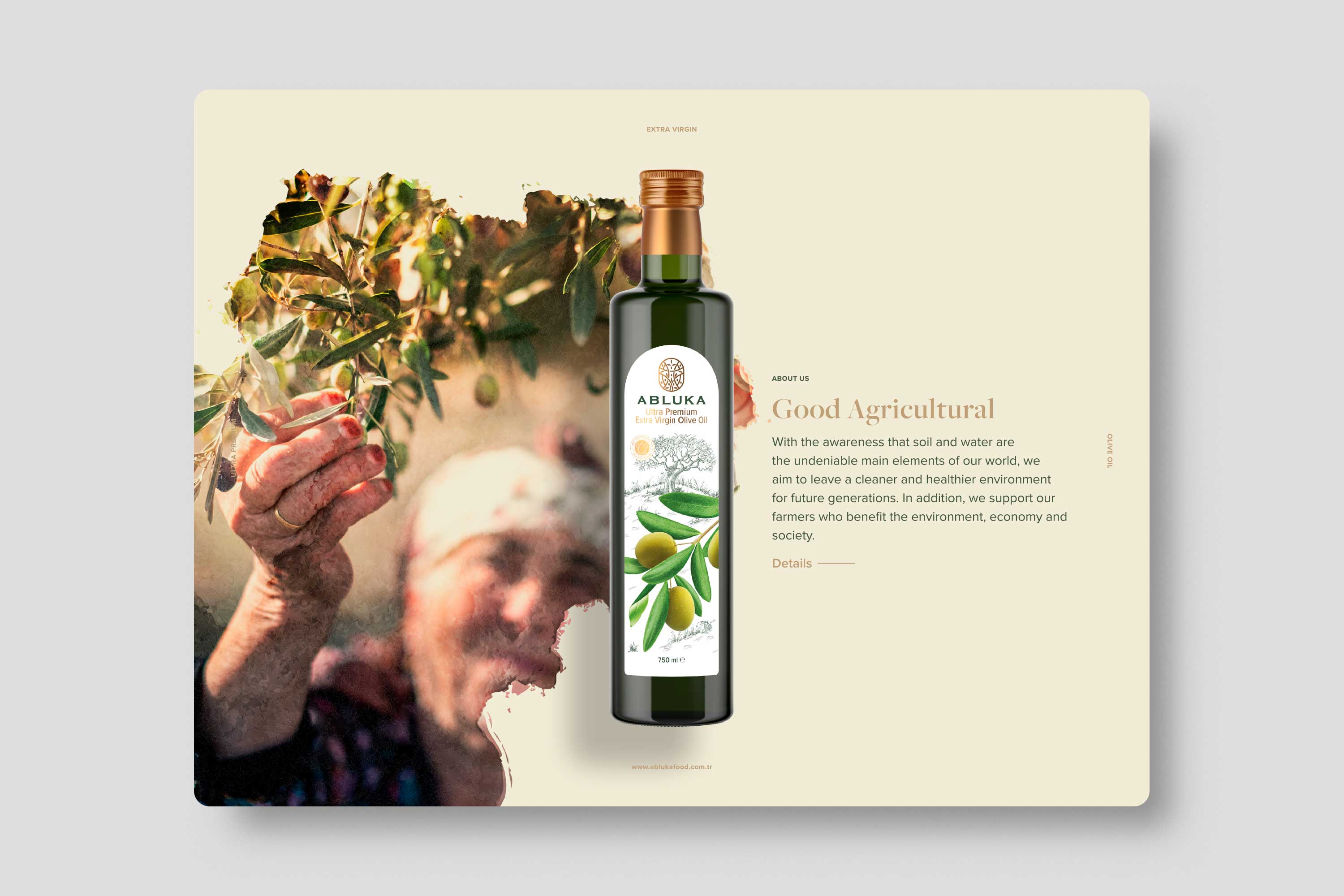 Abluka Online Corporate Brochure