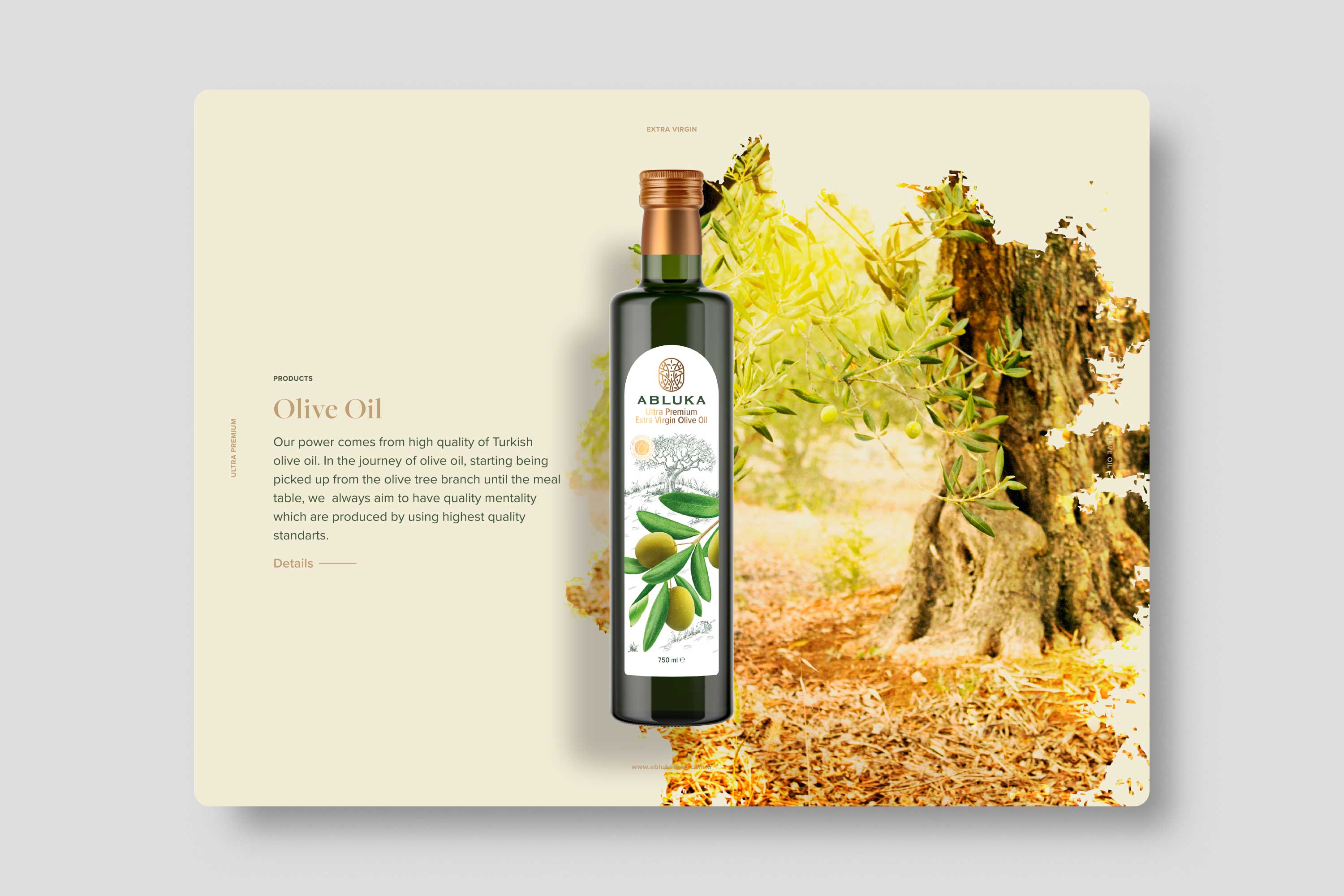 Abluka Online Corporate Brochure